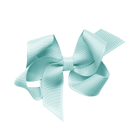 Prinsessefin Alice Baby Meisjes Haarclip In Mint