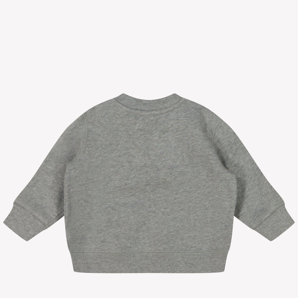 Ralph Lauren Baby boys sweater Gray