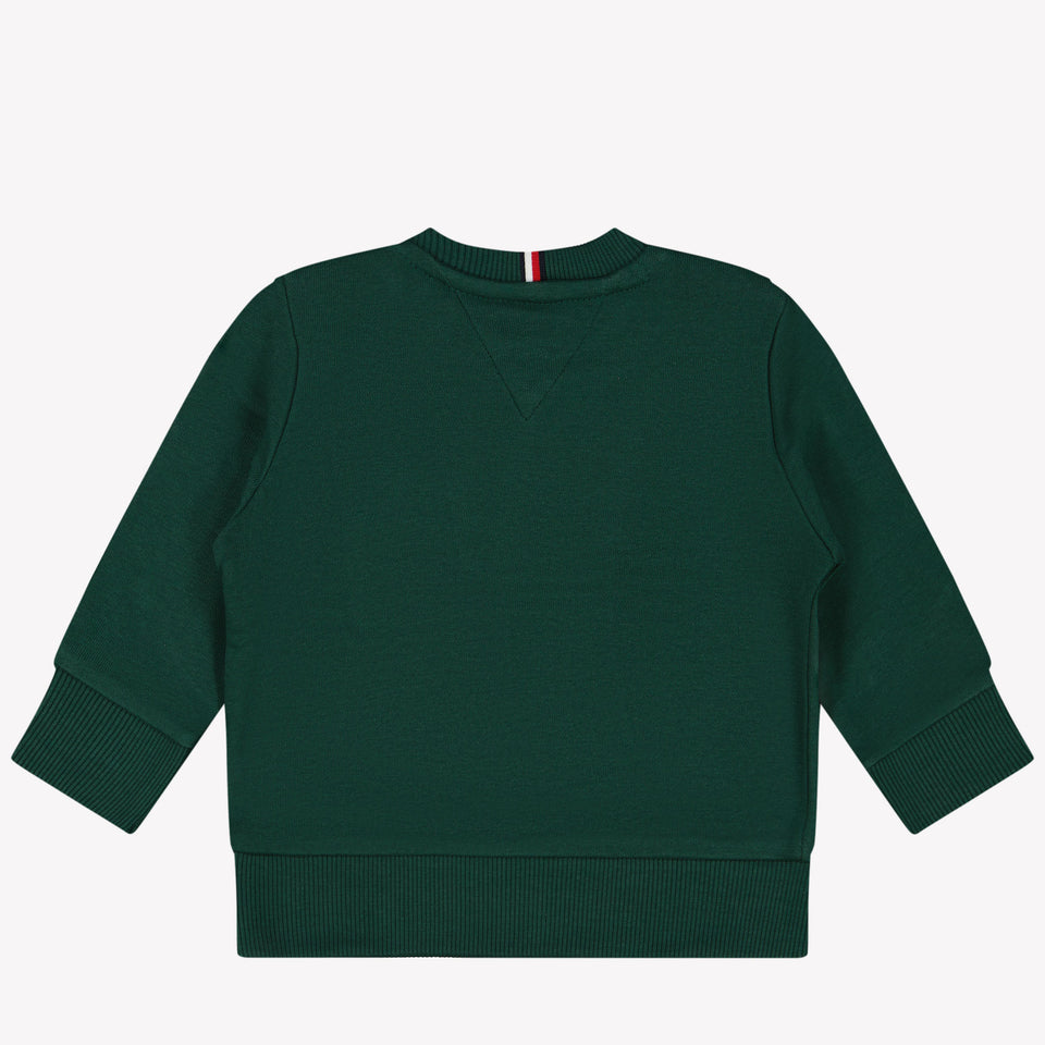 Tommy Hilfiger Baby boys sweater Green