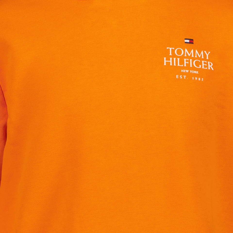 Tommy Hilfiger Boys sweater Orange