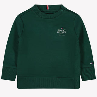 Tommy Hilfiger Baby boys sweater Green