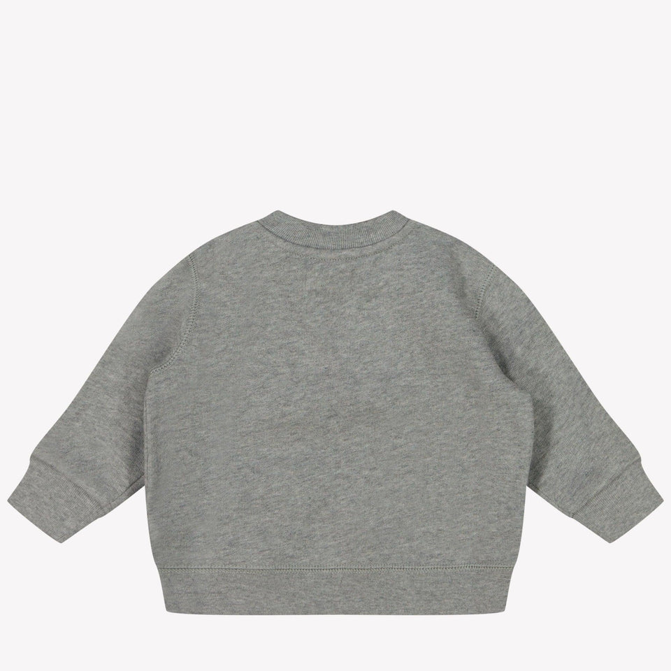 Ralph Lauren Baby Jongens Trui In Licht Grijs