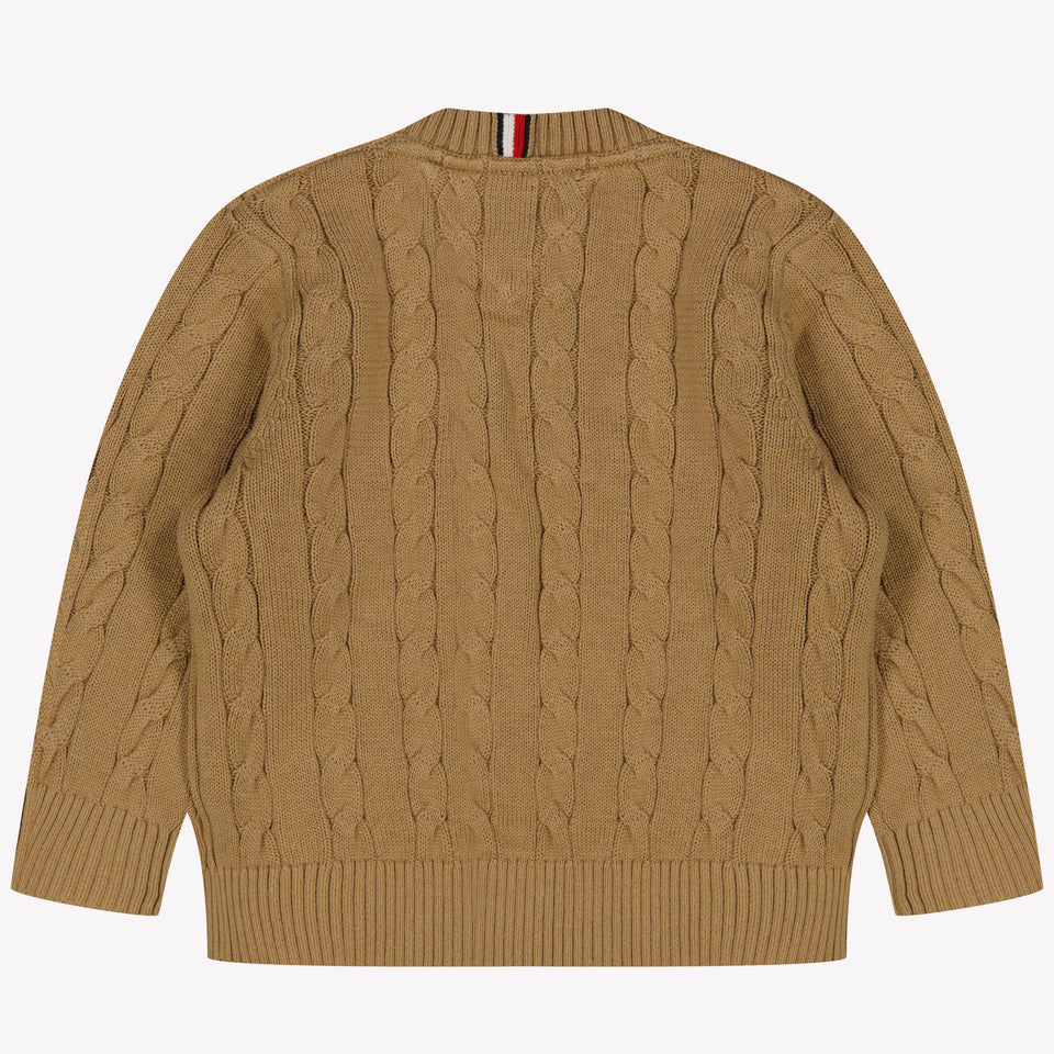 Tommy Hilfiger Baby Boys Sweater Camel